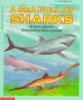 A_sea_full_of_sharks