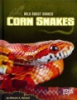 Corn_snakes