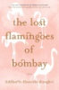 The_lost_flamingoes_of_Bombay