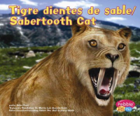 Tigre_dientes_de_sable__