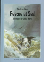 Rescue_at_sea_